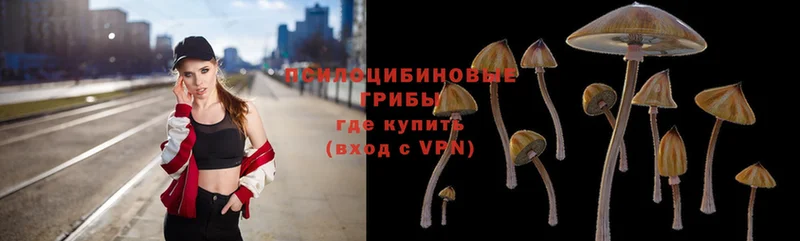 Галлюциногенные грибы MAGIC MUSHROOMS  где купить наркоту  MEGA   Агрыз 